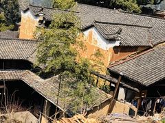 -杨家堂村