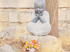 -北京凤凰岭