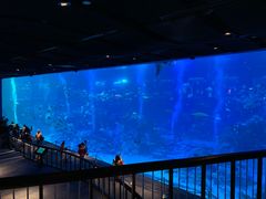 -新加坡海洋生态馆