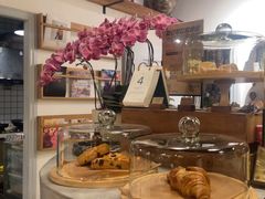 -自由生长植物工作室(深港花卉中心店)