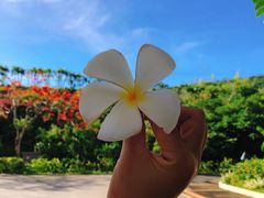 -塞班肯辛顿酒店Kensington Hotel Saipan