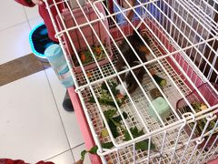 -宴桃园(门头沟店)
