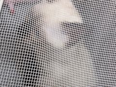 -瑞派天宁宠物医院·猫科·异宠中心