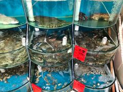 -聚德福海鲜家常菜(刘庄店)