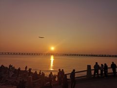 -宝安西湾红树林湿地公园