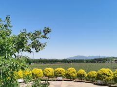 -北京张裕爱斐堡酒庄