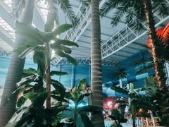 -青岛东方影都融创水世界