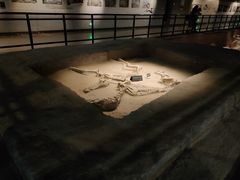 -洛阳周王城天子驾六博物馆