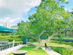 -星巴克(深圳前海企业公馆店)