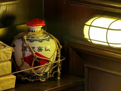 -武汉知音号