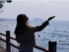 -滇池海埂公园