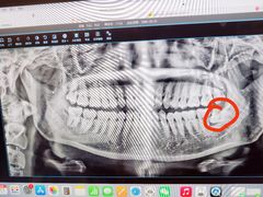 -上海市徐汇区口腔医院