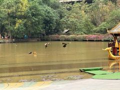 -西双版纳原始森林公园