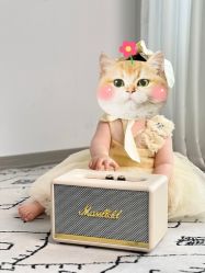 -小鬼当佳儿童摄影(回龙观店)