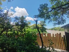 -福田红树林生态公园