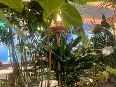 -桂满陇·蟹黄小笼汤包(清河万象店)
