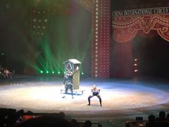 -珠海横琴长隆《卡卡虎奇遇记》