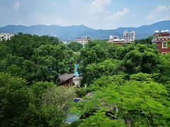 -花悦农庄 | 烧鸡·竹筒饭(沙迳高沙温泉香溪堡店)