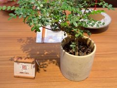 -CURRY YA 熟成咖哩專門店(深圳湾万象城店)