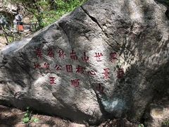 -王顺山国家森林公园