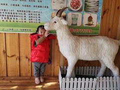 -呼市烧麦羊杂(幸福路店)