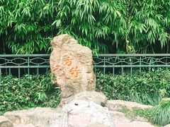 -杭州黄龙洞