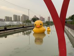 -菊园百果园