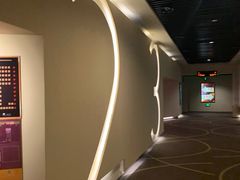 -嘉华国际影城(学清路店)