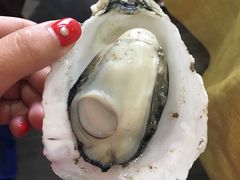 -蚝专家(北滘店)