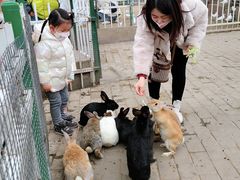 -荆州中山公园动物园