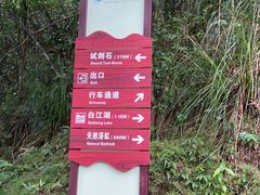 -广州白江湖森林公园