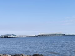 -上海吴淞炮台湾国家湿地公园