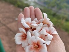 -舒家湾天主教堂