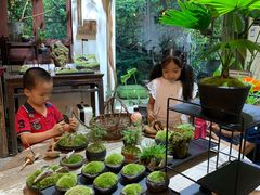 -植觉