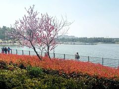 -美兰湖景区