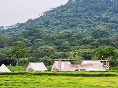 -艾米稻香小镇