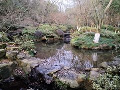 -杭州半山国家森林公园