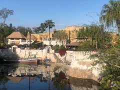 -奥兰多迪士尼动物王国乐园