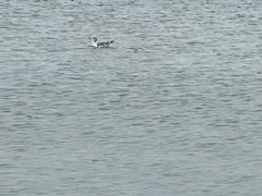 -那香海钻石沙滩浴场