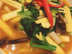 -甄御•海鲜新青岛菜(麦岛店)