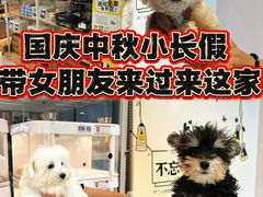 -翊宠yipet猫狗购宠庄园犬舍•猫舍