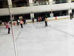 -炫采冰场(红博中央公园商场店)