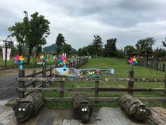 -田园东方蜜桃村的田野营地