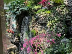 -广州白天鹅宾馆