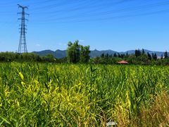 -永定河休闲森林公园