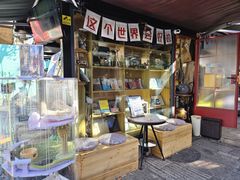 -树下咖啡(昆明老街店)