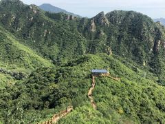 -大岭沟猕猴桃谷风景区