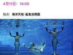 -深圳野生动物园
