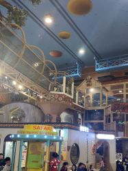 -卡通尼·Safari非洲探索乐园·生日会(金桥国际商业广场店)