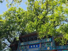 -北京国子监胡同